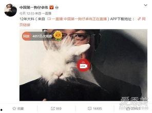 湛江出轨爆料事件最新情况,最新进展揭秘，真相大白？