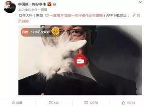 湛江出轨爆料事件最新情况,最新进展揭秘,真相大白? 第2张 湛江出轨爆料事件最新情况,最新进展揭秘,真相大白? 第2张