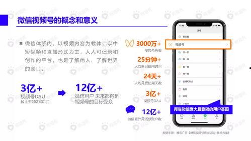 爆料打假网红视频下载软件,揭秘打假网红背后的真相 第2张 爆料打假网红视频下载软件,揭秘打假网红背后的真相 第2张