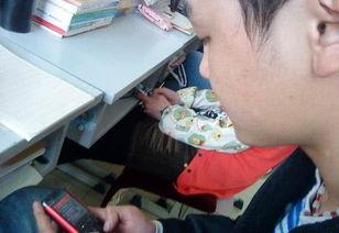 父母赔钱最新爆料,揭秘背后惊人真相