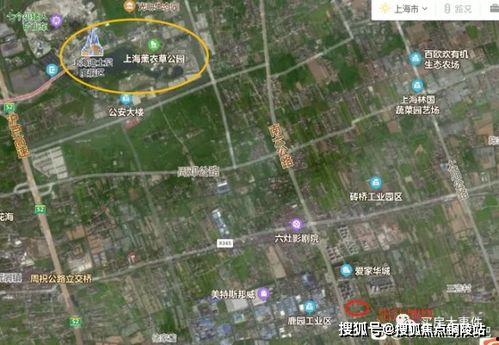 爆料红牛价格走势分析最新,洞察市场动态与消费趋势