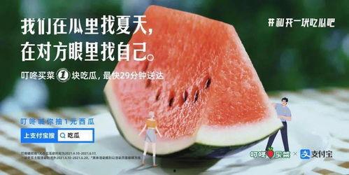 网红吃瓜视频文案,揭秘娱乐圈幕后真相