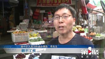 重庆 新闻爆料,聚焦城市热点事件与民生动态  第3张