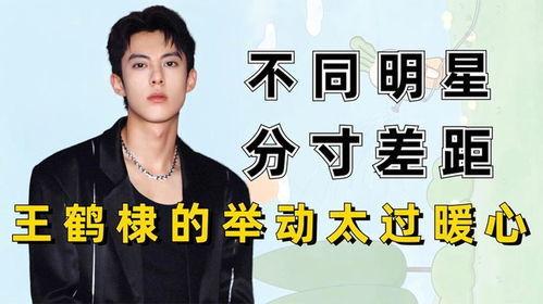 明星娱乐爆料王鹤棣,娱乐圈新晋小生，揭秘他的星途历程  第3张