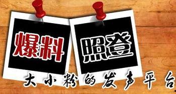赣南新闻爆料平台有哪些,聚焦本土热点，传递民声心声