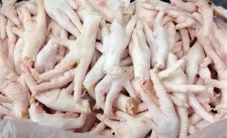 鸡爪养殖爆料视频,揭秘幕后养殖过程与经济效益 第3张 鸡爪养殖爆料视频,揭秘幕后养殖过程与经济效益 第3张