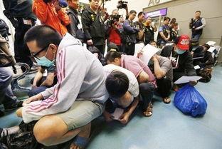 新闻爆料诈骗犯是谁啊,诈骗犯身份曝光
