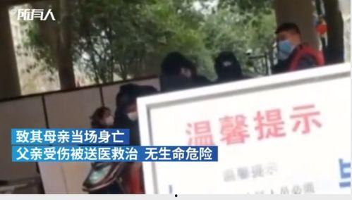 宜宾最新命案事件爆料,悲剧背后的人性拷问与法治追寻  第2张