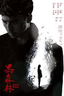 黑森林 在线观看,神秘探险，揭开古老传说之谜