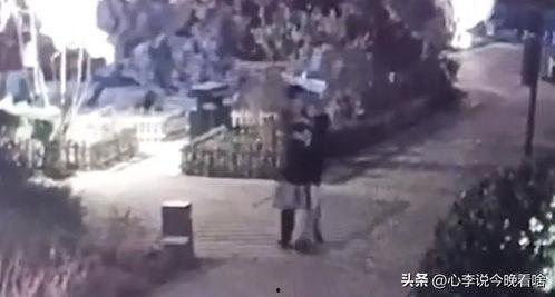 震撼吃瓜视频大全下载免费,免费下载,一网打尽年度热门瓜料 第2张 震撼吃瓜视频大全下载免费,免费下载,一网打尽年度热门瓜料 第2张
