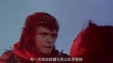 大圣娶亲粤语在线观看,重温经典,笑看猴王情缘 第2张 大圣娶亲粤语在线观看,重温经典,笑看猴王情缘 第2张