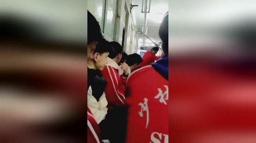 打人的武校爆料视频大全,打人视频大全曝光，真相令人震惊