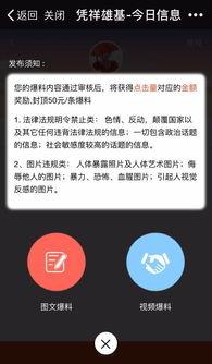 爆料视频文章怎么写,深度解析事件背后真相