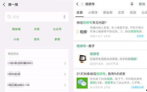 爆料视频文章怎么写,深度解析事件背后真相 第3张 爆料视频文章怎么写,深度解析事件背后真相 第3张