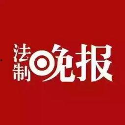 肇庆新闻线索爆料  第3张