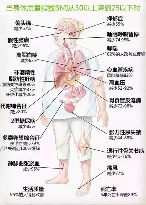 女子解剖视频在线观看,在线观看女性身体结构教学视频 第3张 女子解剖视频在线观看,在线观看女性身体结构教学视频 第3张