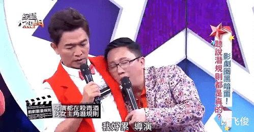 知名导演爆料娱乐圈小说,娱乐圈背后的小说世界 第3张 知名导演爆料娱乐圈小说,娱乐圈背后的小说世界 第3张
