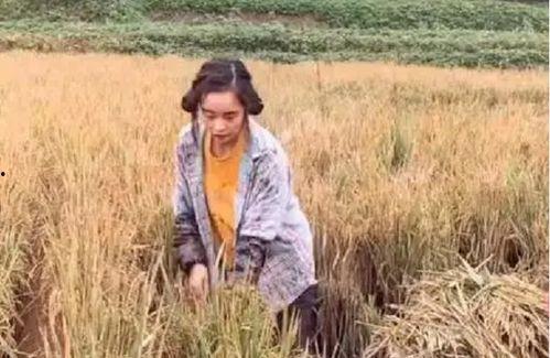 黄琴的最新爆料,娱乐圈惊人内幕大曝光！  第3张