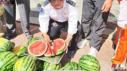 江西网红吃瓜事件视频,揭秘网络舆论背后的真相  第2张