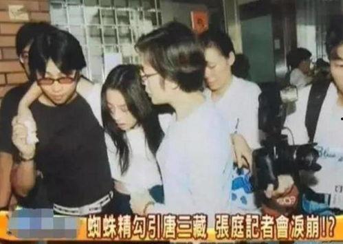 顾成前妻爆料视频大全集,揭秘婚姻背后的真相