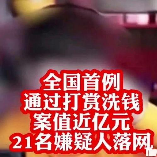 网红洗钱新闻爆料,揭秘网络红人背后的非法金融交易
