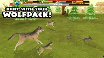 手机灰狼在线观看,揭秘网络世界的神秘力量  第2张