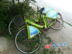 公共自行车爆料视频大全,揭秘共享出行背后的故事 第2张 公共自行车爆料视频大全,揭秘共享出行背后的故事 第2张