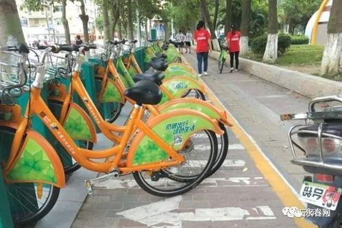 公共自行车爆料视频大全,揭秘共享出行背后的故事 第3张 公共自行车爆料视频大全,揭秘共享出行背后的故事 第3张