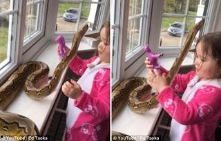 嬉戏在线观看,在线重温青春欢乐瞬间