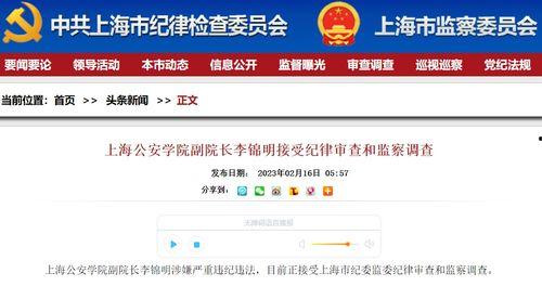 上海新闻网上爆料,揭秘某事件背后真相  第3张