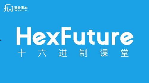 蓝厂最新爆料新闻,颠覆性新机即将亮相,性能与设计双升级 第3张 蓝厂最新爆料新闻,颠覆性新机即将亮相,性能与设计双升级 第3张