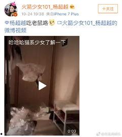 最新老鼠爆料视频下载大全,下载大全汇总  第3张