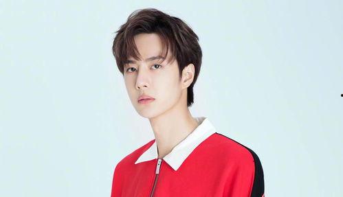 娱乐大爆料王悦伊是谁啊,揭秘王悦伊，她是谁？