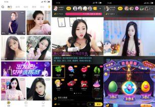 超萌爆料视频下载,萌宠瞬间引网友热议 第2张 超萌爆料视频下载,萌宠瞬间引网友热议 第2张