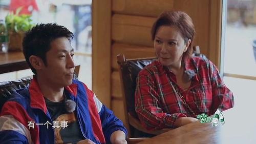 娱乐圈爆料今日说法,今日说法揭秘明星幕后真相