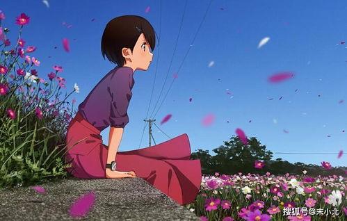 圆满组合圈内人爆料直播,直播揭秘幕后故事  第2张