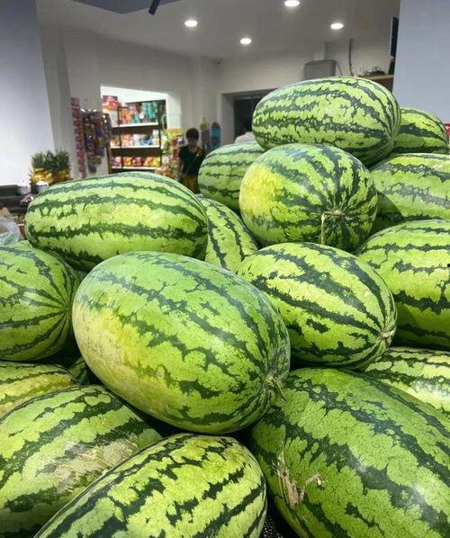 免费的吃瓜入口,畅享美食盛宴的秘密通道  第2张