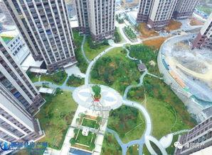 航拍世家爆料视频下载,揭秘航拍家族传承与创新之路 第3张 航拍世家爆料视频下载,揭秘航拍家族传承与创新之路 第3张