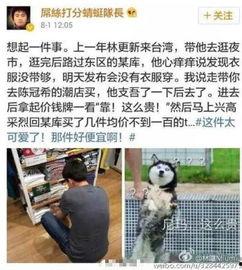 圈内人爆料林更新 第2张 圈内人爆料林更新 第2张