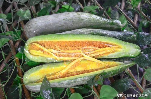 北美网红吃瓜,揭秘吃瓜背后的娱乐真相  第3张