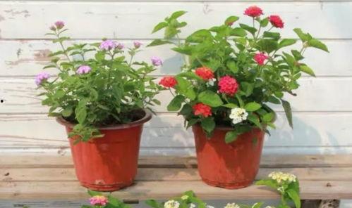 浙江头条爆料事件视频最新,最新事件视频引发热议,真相揭晓! 第2张 浙江头条爆料事件视频最新,最新事件视频引发热议,真相揭晓! 第2张