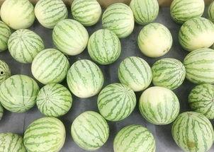 最新吃瓜爆料真实,当红明星惊人内幕曝光