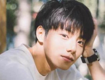 李振宁每日爆料视频