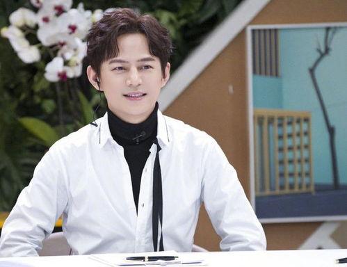 何炅爆料王子视频,揭秘明星私下趣事 第3张 何炅爆料王子视频,揭秘明星私下趣事 第3张