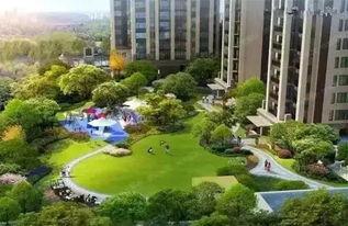 成都公园爆料视频大全下载,探寻城市绿洲的精彩瞬间 第2张 成都公园爆料视频大全下载,探寻城市绿洲的精彩瞬间 第2张