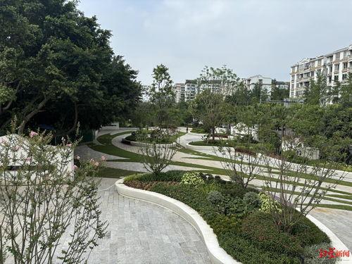 成都公园爆料视频大全下载,探寻城市绿洲的精彩瞬间 第3张 成都公园爆料视频大全下载,探寻城市绿洲的精彩瞬间 第3张