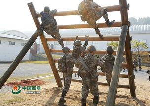 虎刺拳爆料视频,内幕大曝光！