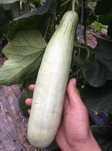 网红吃瓜 网站,揭秘娱乐圈幕后真相,带你领略明星生活百态 第2张 网红吃瓜 网站,揭秘娱乐圈幕后真相,带你领略明星生活百态 第2张