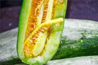 网红吃瓜 网站,揭秘娱乐圈幕后真相,带你领略明星生活百态 第3张 网红吃瓜 网站,揭秘娱乐圈幕后真相,带你领略明星生活百态 第3张