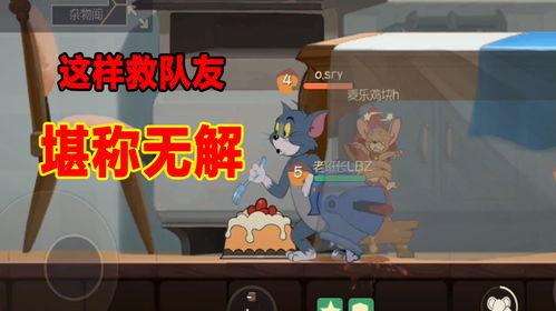 最新老鼠爆料视频大全,揭秘动物界的秘密生活  第3张